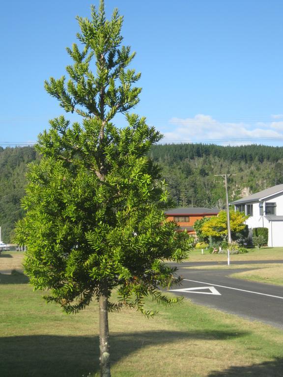 Apartament Addsbury House Whangamata Zewnętrze zdjęcie